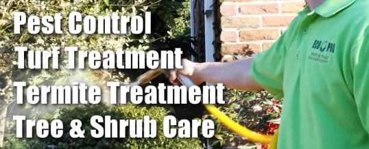 Tree & Shrub Care